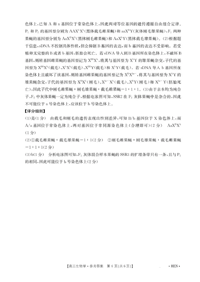 河南省创新发展联盟2025届高三下学期适应性考试生物试卷（图片版，含解析）_2025年5月_2505252025届河南省联盟高三下学期高考适应性考试（创新发展联盟三模）（全科）