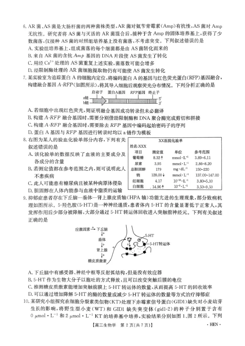 河南省创新发展联盟2025届高三下学期适应性考试生物试卷（图片版，含解析）_2025年5月_2505252025届河南省联盟高三下学期高考适应性考试（创新发展联盟三模）（全科）