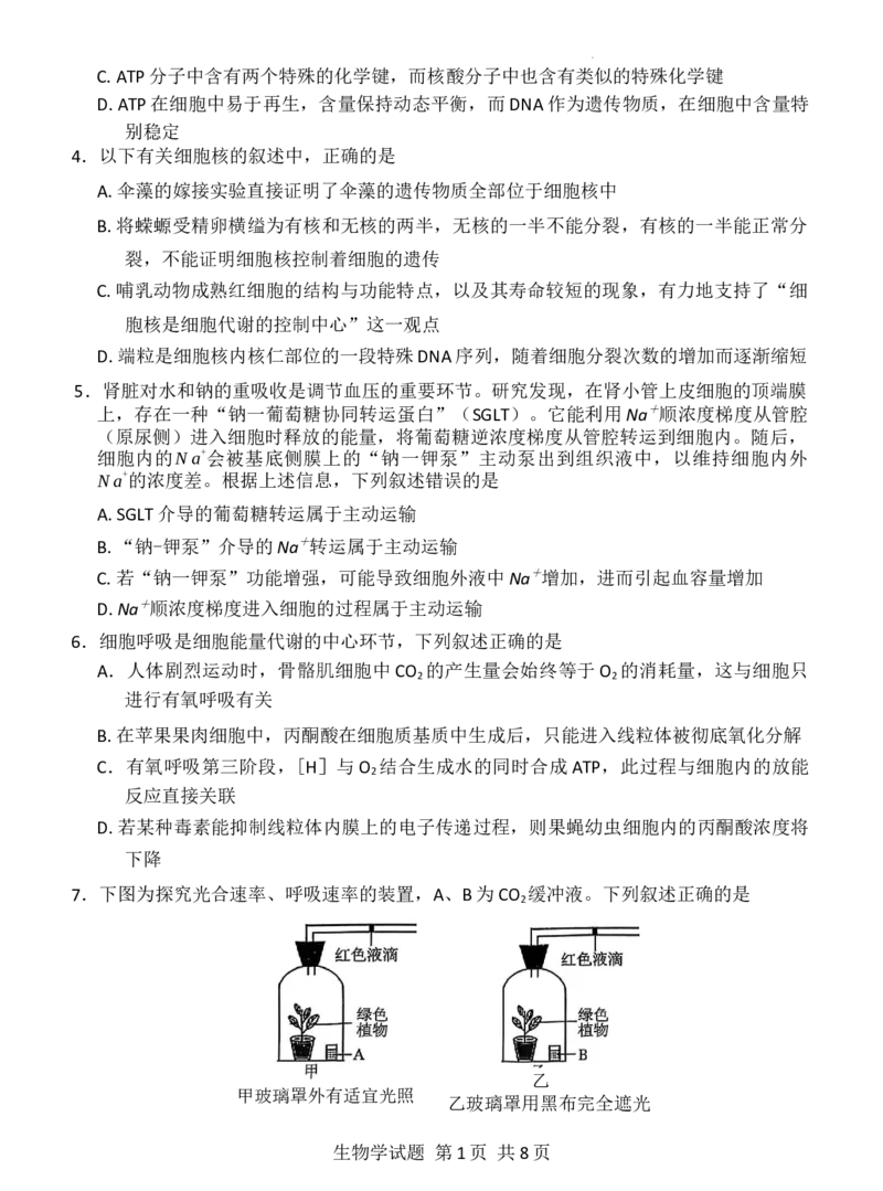 生物_2025年11月_251124河南省新未来大联考2026届高三上学期11月联合测评_1209215425_河南省新未来大联考2026届高三上学期11月联合测评生物试题（含答案）