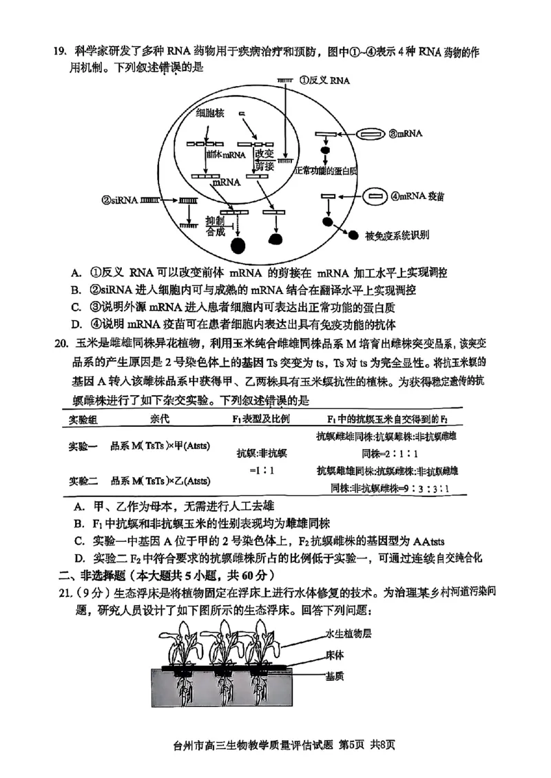 浙江省台州市2025届高三下学期4月二模试题生物试卷+答案_2025年4月_250411浙江省台州市2025届高三下学期4月二模（全科）