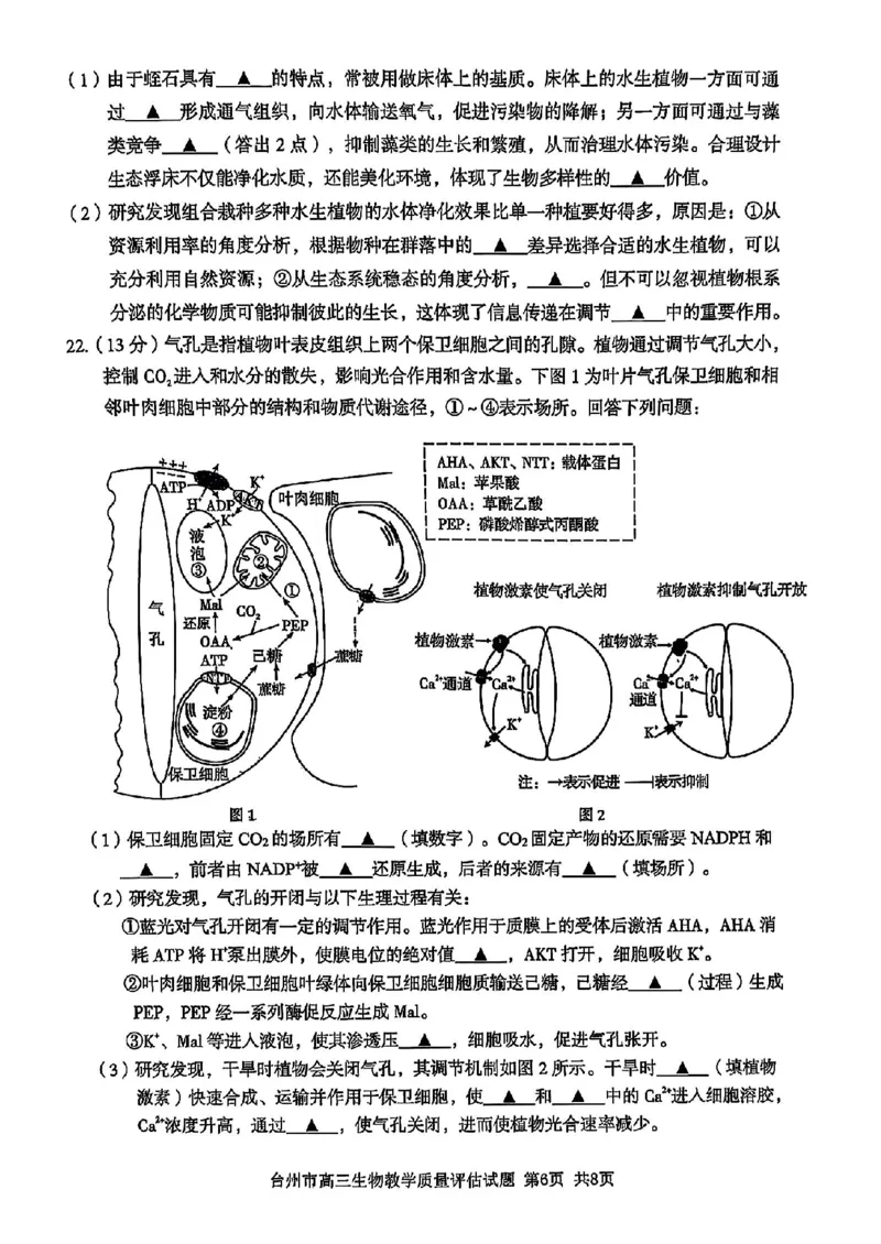 浙江省台州市2025届高三下学期4月二模试题生物试卷+答案_2025年4月_250411浙江省台州市2025届高三下学期4月二模（全科）
