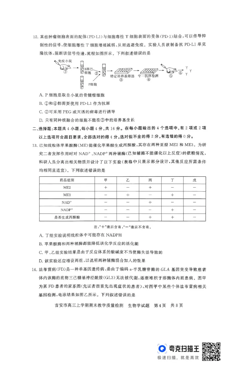 江西省吉安市2025届高三上学期1月期末教学质量检测生物试题（含解析）_2025年1月_250124江西省吉安市2024-2025学年高三上学期期末教学质量检测（全科）