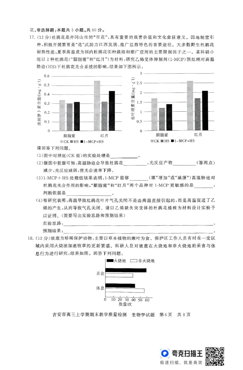 江西省吉安市2025届高三上学期1月期末教学质量检测生物试题（含解析）_2025年1月_250124江西省吉安市2024-2025学年高三上学期期末教学质量检测（全科）