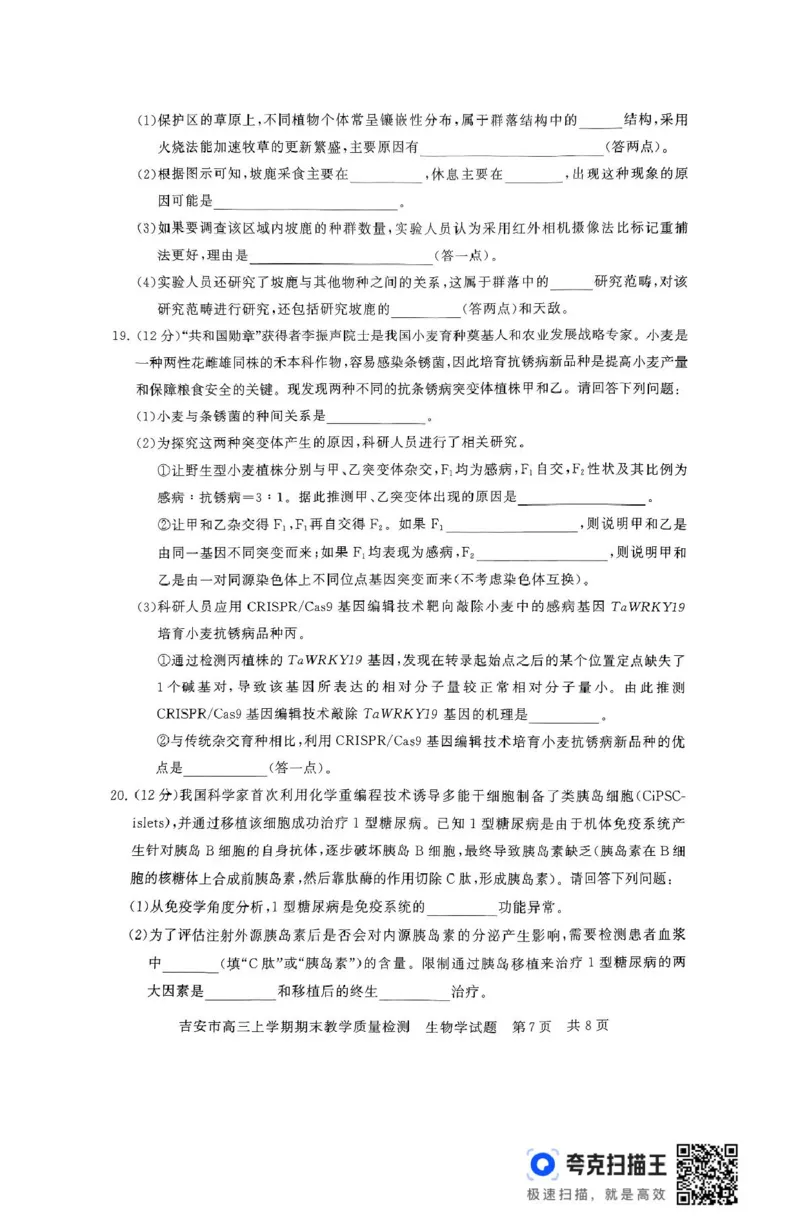 江西省吉安市2025届高三上学期1月期末教学质量检测生物试题（含解析）_2025年1月_250124江西省吉安市2024-2025学年高三上学期期末教学质量检测（全科）