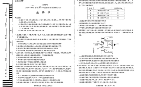 河南天一大联考2024-2025学年下高三年级阶段性测试（七）生物试题（含答案）_2025年4月_250426河南天一大联考2024-2025学年下高三年级阶段性测试（七）（全科）