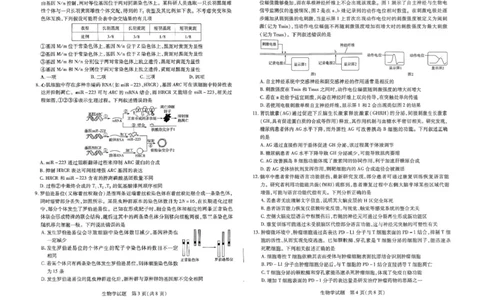 河南天一大联考2024-2025学年下高三年级阶段性测试（七）生物试题（含答案）_2025年4月_250426河南天一大联考2024-2025学年下高三年级阶段性测试（七）（全科）