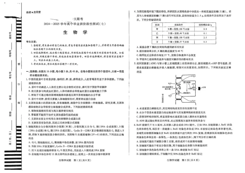 河南天一大联考2024-2025学年下高三年级阶段性测试（七）生物试题（含答案）_2025年4月_250426河南天一大联考2024-2025学年下高三年级阶段性测试（七）（全科）