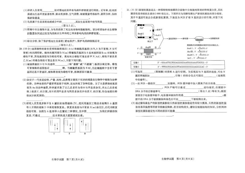 河南天一大联考2024-2025学年下高三年级阶段性测试（七）生物试题（含答案）_2025年4月_250426河南天一大联考2024-2025学年下高三年级阶段性测试（七）（全科）
