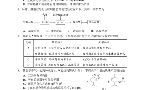 广东省大湾区2024-2025学年高三上学期1月联合模拟考试（一）化学试题_2025年1月_2501142025届广东省大湾区普通高中毕业年级联合模拟考试(一)（全科）