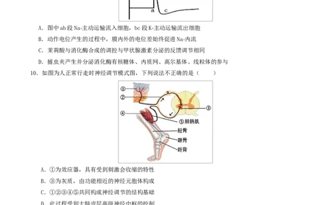 高二生物上学期第一次月考（江苏专用）高二生物第一次月考卷测试范围：人教版2019选择性必修1第1章~第3章（考试版）_1多考区联考试卷