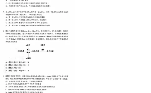 湖北省武昌区2025届高三年级5月质量检测生物_2025年5月_250518湖北省武昌区2025届高三年级5月质量检测（全科）