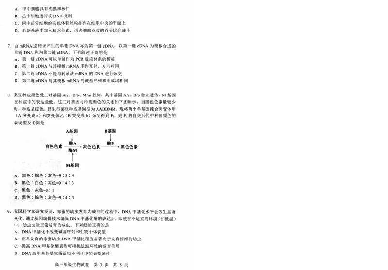 湖北省武昌区2025届高三年级5月质量检测生物_2025年5月_250518湖北省武昌区2025届高三年级5月质量检测（全科）