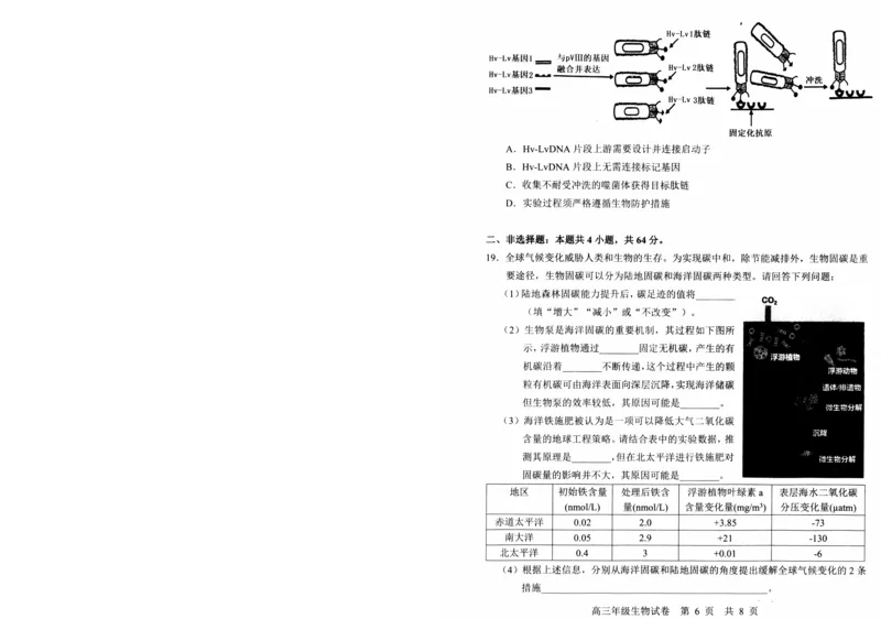 湖北省武昌区2025届高三年级5月质量检测生物_2025年5月_250518湖北省武昌区2025届高三年级5月质量检测（全科）