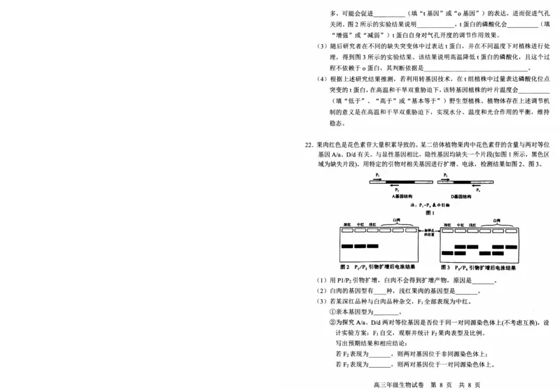 湖北省武昌区2025届高三年级5月质量检测生物_2025年5月_250518湖北省武昌区2025届高三年级5月质量检测（全科）