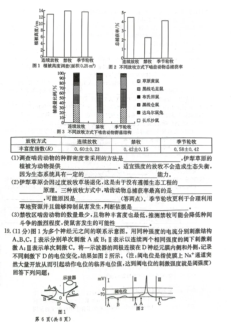 甘肃省2025届高三下学期高考模拟卷生物_2025年2月_250217甘肃省2025届高三下学期高考模拟卷（全科）_甘肃省2025届高三下学期高考模拟卷生物