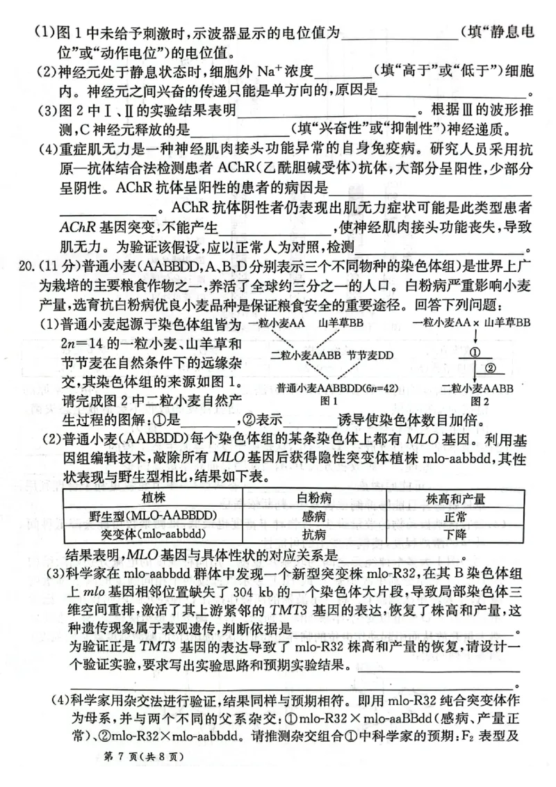 甘肃省2025届高三下学期高考模拟卷生物_2025年2月_250217甘肃省2025届高三下学期高考模拟卷（全科）_甘肃省2025届高三下学期高考模拟卷生物