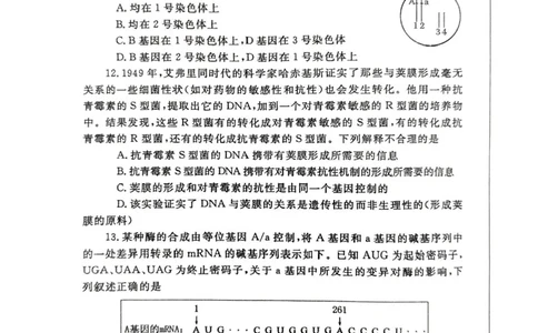 河南省郑州市2025届高三第一次质量预测生物试题+答案_2025年1月_250119河南省郑州市2025届高三第一次质量预测试卷（全科）