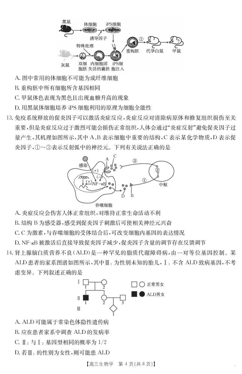 金太阳25-338C安徽省六安市市区2025届高三下学期考前适应性考试生物_2025年3月_250329安徽省六安市市区2025届高三下学期考前适应性考试（金太阳25-338C）（全科）