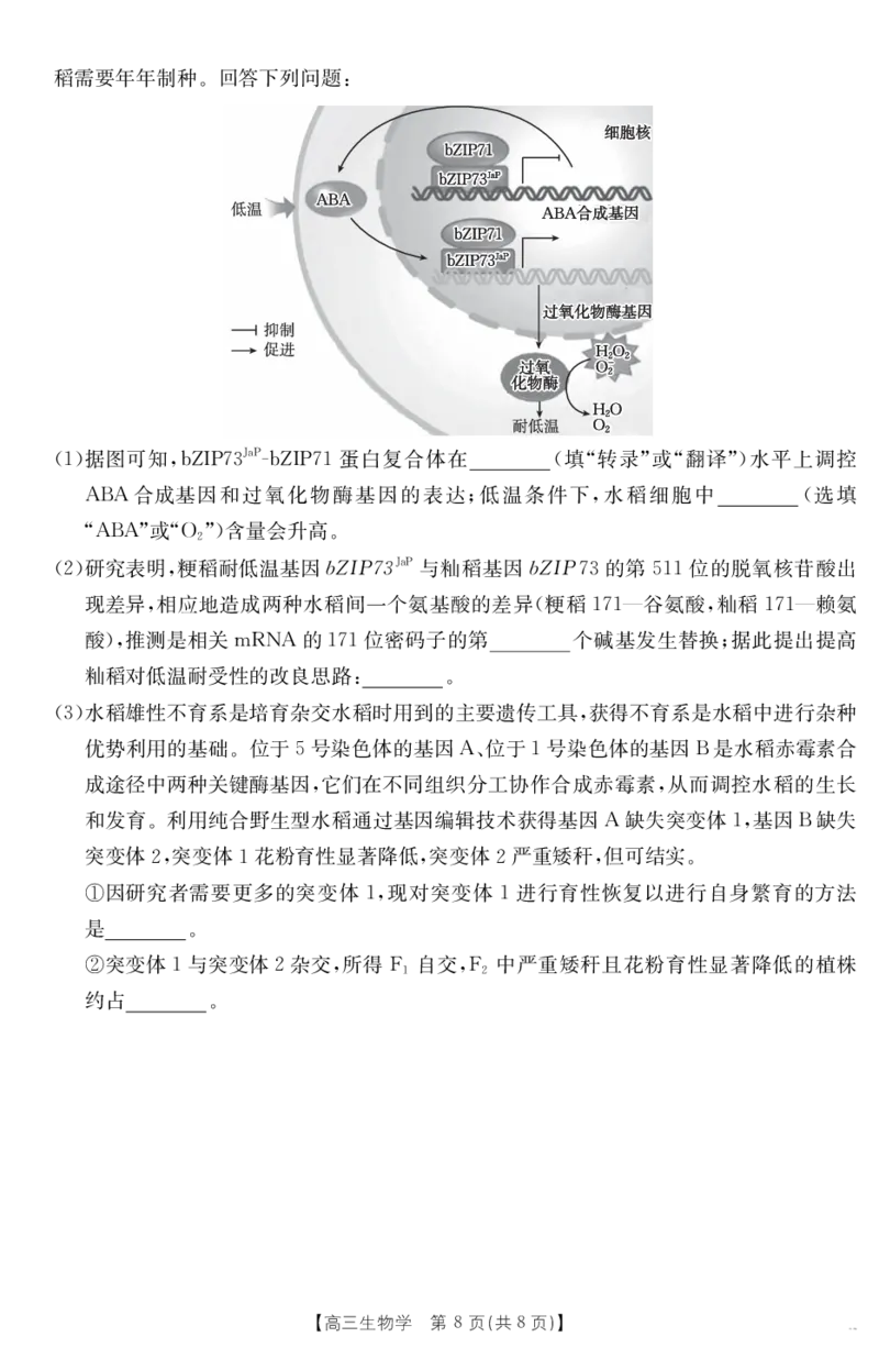 金太阳25-338C安徽省六安市市区2025届高三下学期考前适应性考试生物_2025年3月_250329安徽省六安市市区2025届高三下学期考前适应性考试（金太阳25-338C）（全科）