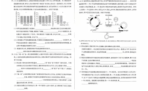 生物试卷_2025年9月_250920河南省天一大联考2026届高三上学期调研考试（全科）_河南省天一大联考2026届高三上学期调研考试生物试题（含答案）