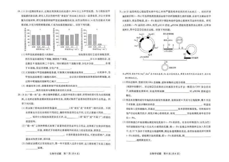 生物试卷_2025年9月_250920河南省天一大联考2026届高三上学期调研考试（全科）_河南省天一大联考2026届高三上学期调研考试生物试题（含答案）
