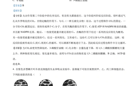 精品解析：河北省石家庄市长安区石家庄市第一中学2025-2026学年高三上学期9月月考生物试题（解析版）_2025年9月_250927石家庄市第一中学2025-2026学年高三上学期9月摸底考试（全科）