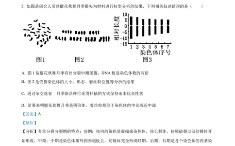 精品解析：河北省石家庄市长安区石家庄市第一中学2025-2026学年高三上学期9月月考生物试题（解析版）_2025年9月_250927石家庄市第一中学2025-2026学年高三上学期9月摸底考试（全科）