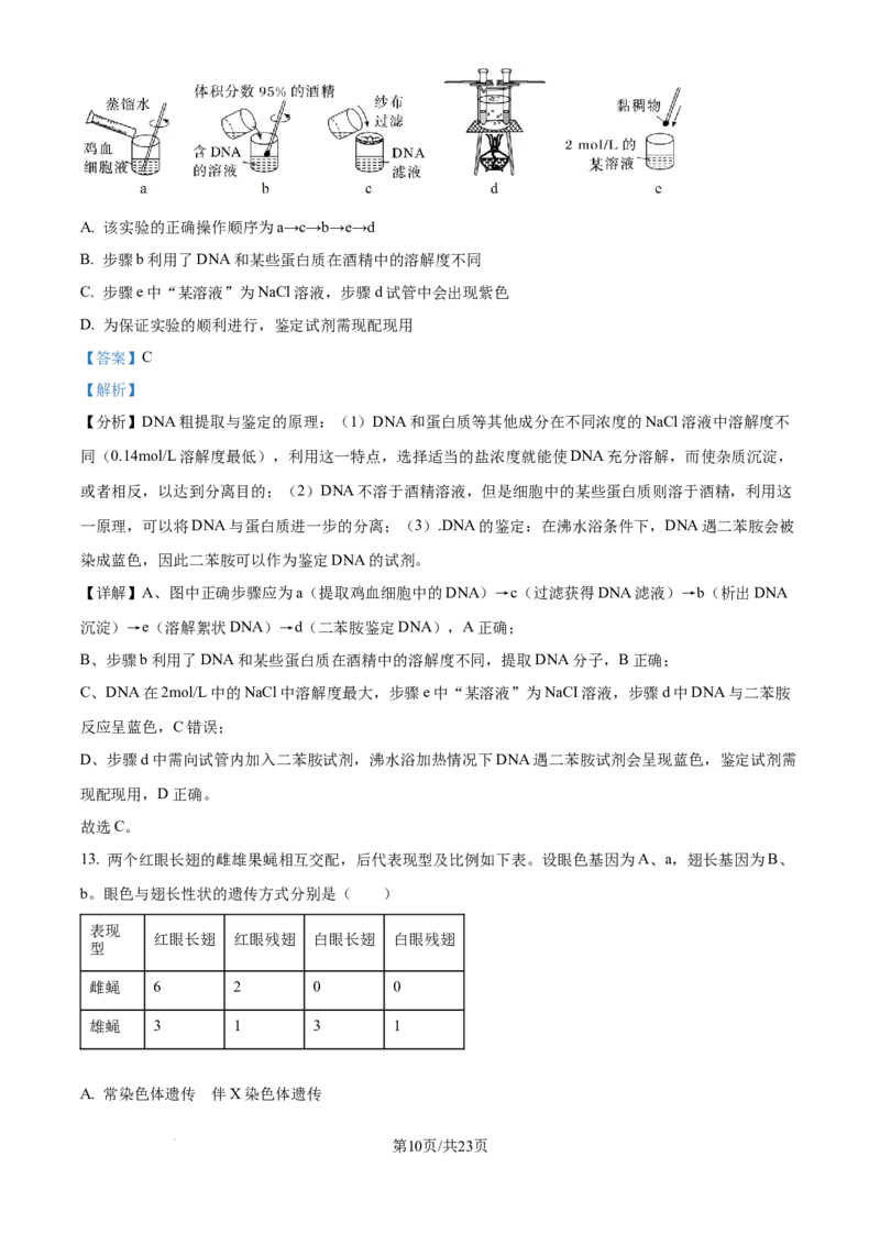 精品解析：河北省石家庄市长安区石家庄市第一中学2025-2026学年高三上学期9月月考生物试题（解析版）_2025年9月_250927石家庄市第一中学2025-2026学年高三上学期9月摸底考试（全科）