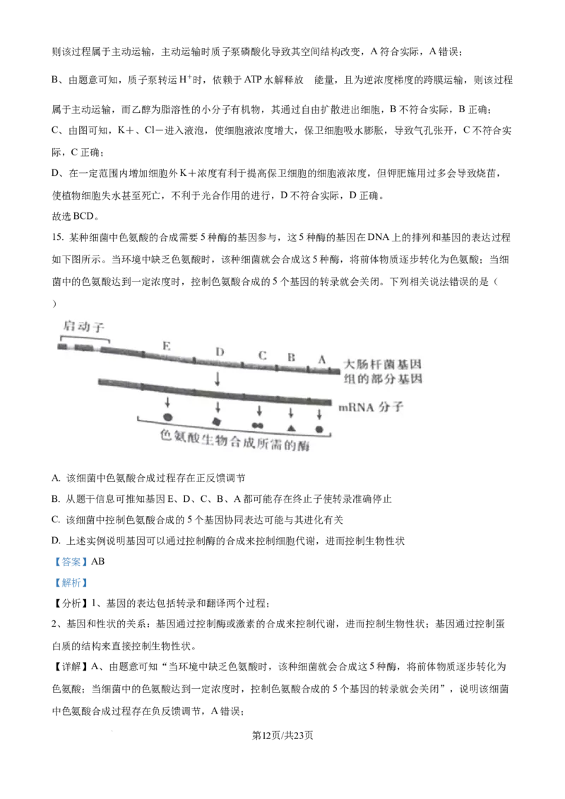 精品解析：河北省石家庄市长安区石家庄市第一中学2025-2026学年高三上学期9月月考生物试题（解析版）_2025年9月_250927石家庄市第一中学2025-2026学年高三上学期9月摸底考试（全科）