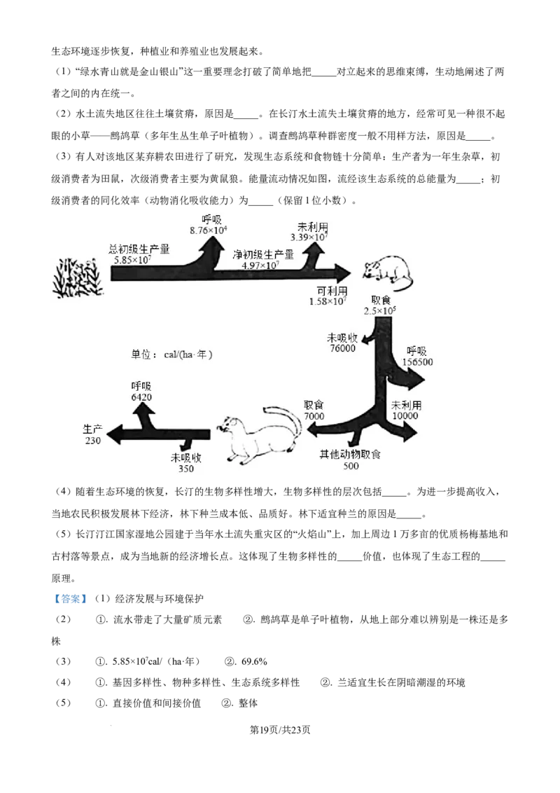 精品解析：河北省石家庄市长安区石家庄市第一中学2025-2026学年高三上学期9月月考生物试题（解析版）_2025年9月_250927石家庄市第一中学2025-2026学年高三上学期9月摸底考试（全科）
