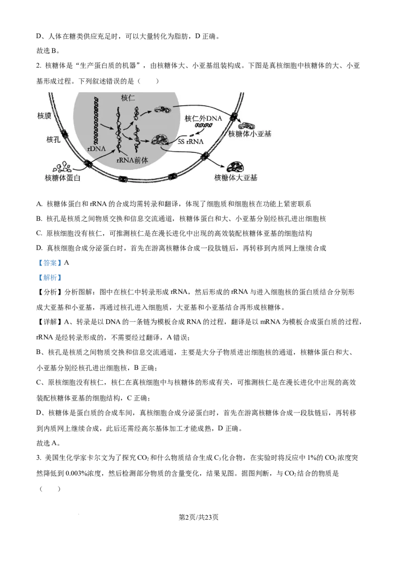 精品解析：河北省石家庄市长安区石家庄市第一中学2025-2026学年高三上学期9月月考生物试题（解析版）_2025年9月_250927石家庄市第一中学2025-2026学年高三上学期9月摸底考试（全科）