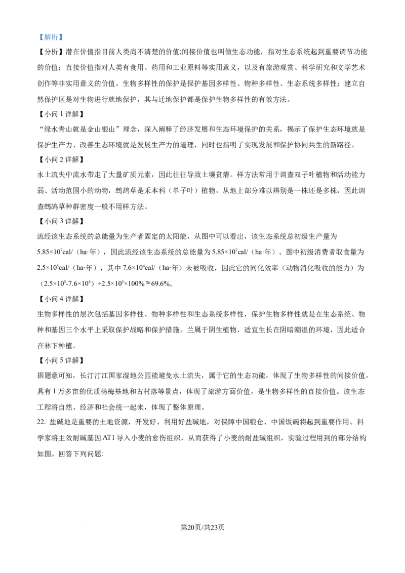 精品解析：河北省石家庄市长安区石家庄市第一中学2025-2026学年高三上学期9月月考生物试题（解析版）_2025年9月_250927石家庄市第一中学2025-2026学年高三上学期9月摸底考试（全科）