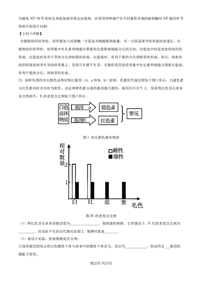 精品解析：河北省石家庄市长安区石家庄市第一中学2025-2026学年高三上学期9月月考生物试题（解析版）_2025年9月_250927石家庄市第一中学2025-2026学年高三上学期9月摸底考试（全科）
