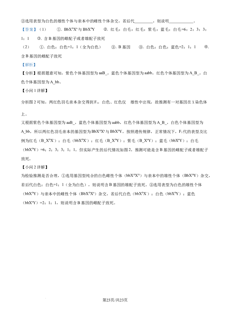 精品解析：河北省石家庄市长安区石家庄市第一中学2025-2026学年高三上学期9月月考生物试题（解析版）_2025年9月_250927石家庄市第一中学2025-2026学年高三上学期9月摸底考试（全科）