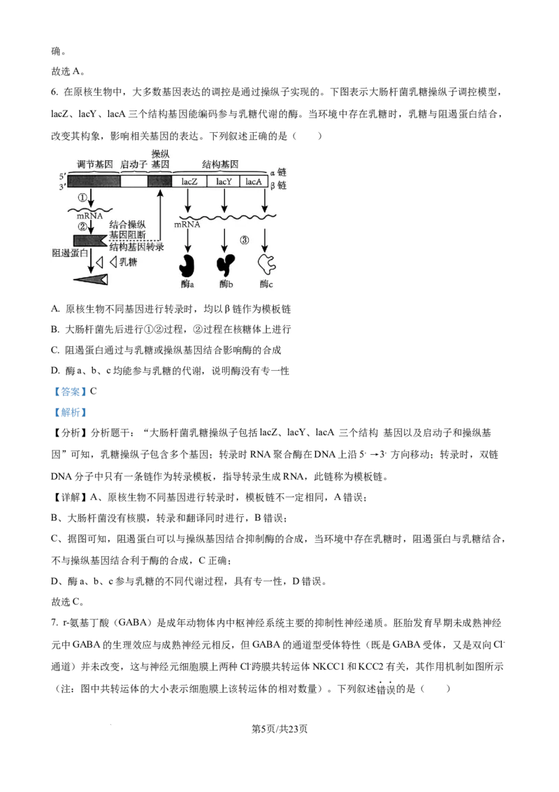 精品解析：河北省石家庄市长安区石家庄市第一中学2025-2026学年高三上学期9月月考生物试题（解析版）_2025年9月_250927石家庄市第一中学2025-2026学年高三上学期9月摸底考试（全科）