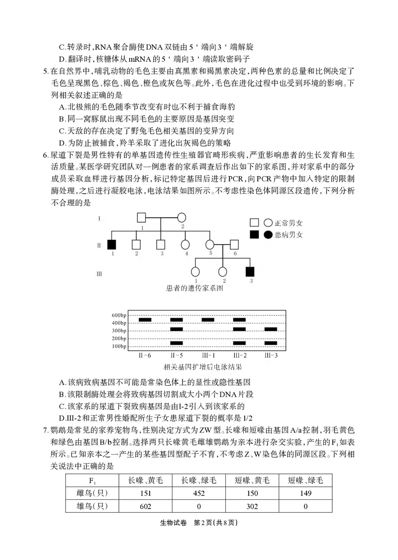 德阳市高中2022级质量监测考试（二）生物_2025年2月_250224四川省德阳市高中2022级质量监测考试（二）（全科）_德阳市高中2022级质量监测考试（二）生物
