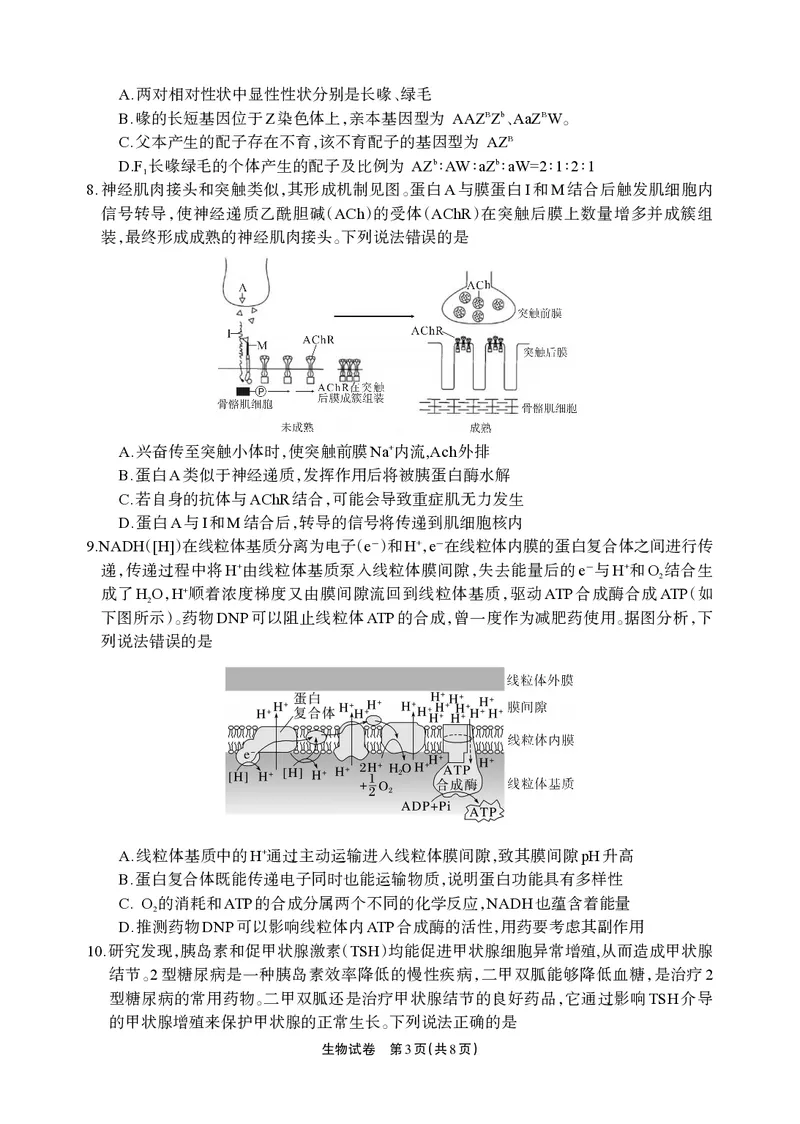 德阳市高中2022级质量监测考试（二）生物_2025年2月_250224四川省德阳市高中2022级质量监测考试（二）（全科）_德阳市高中2022级质量监测考试（二）生物