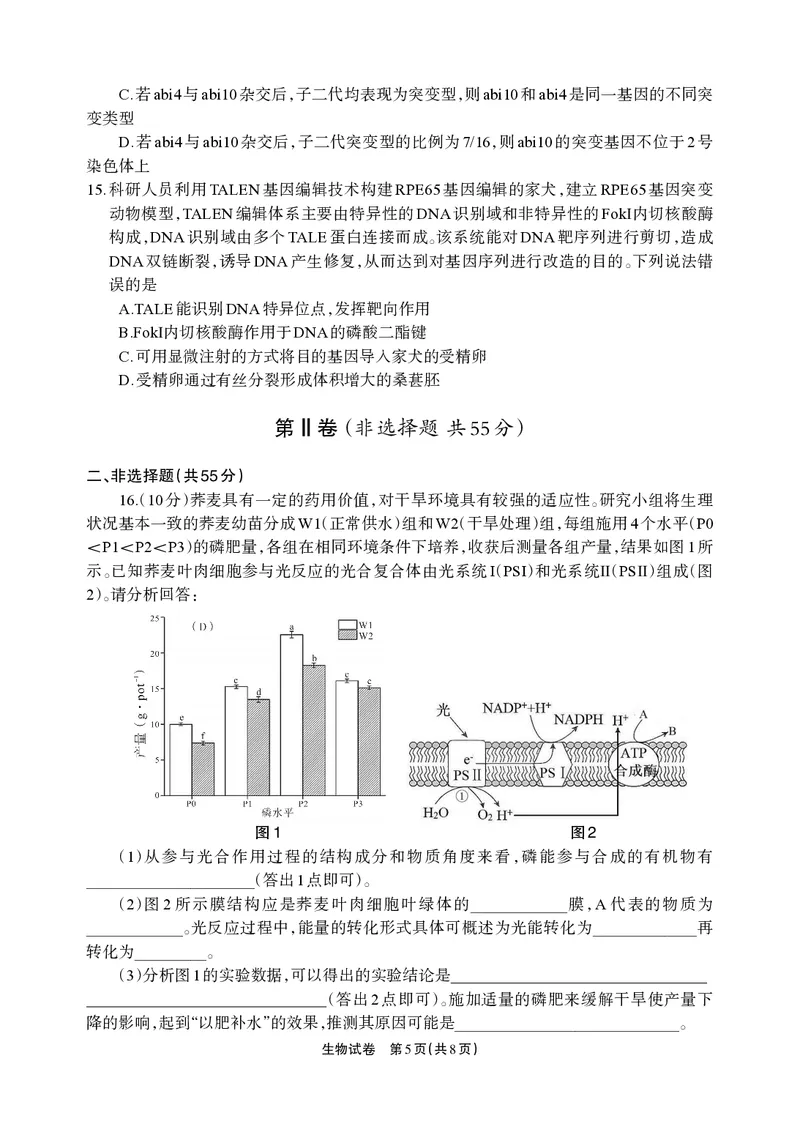 德阳市高中2022级质量监测考试（二）生物_2025年2月_250224四川省德阳市高中2022级质量监测考试（二）（全科）_德阳市高中2022级质量监测考试（二）生物