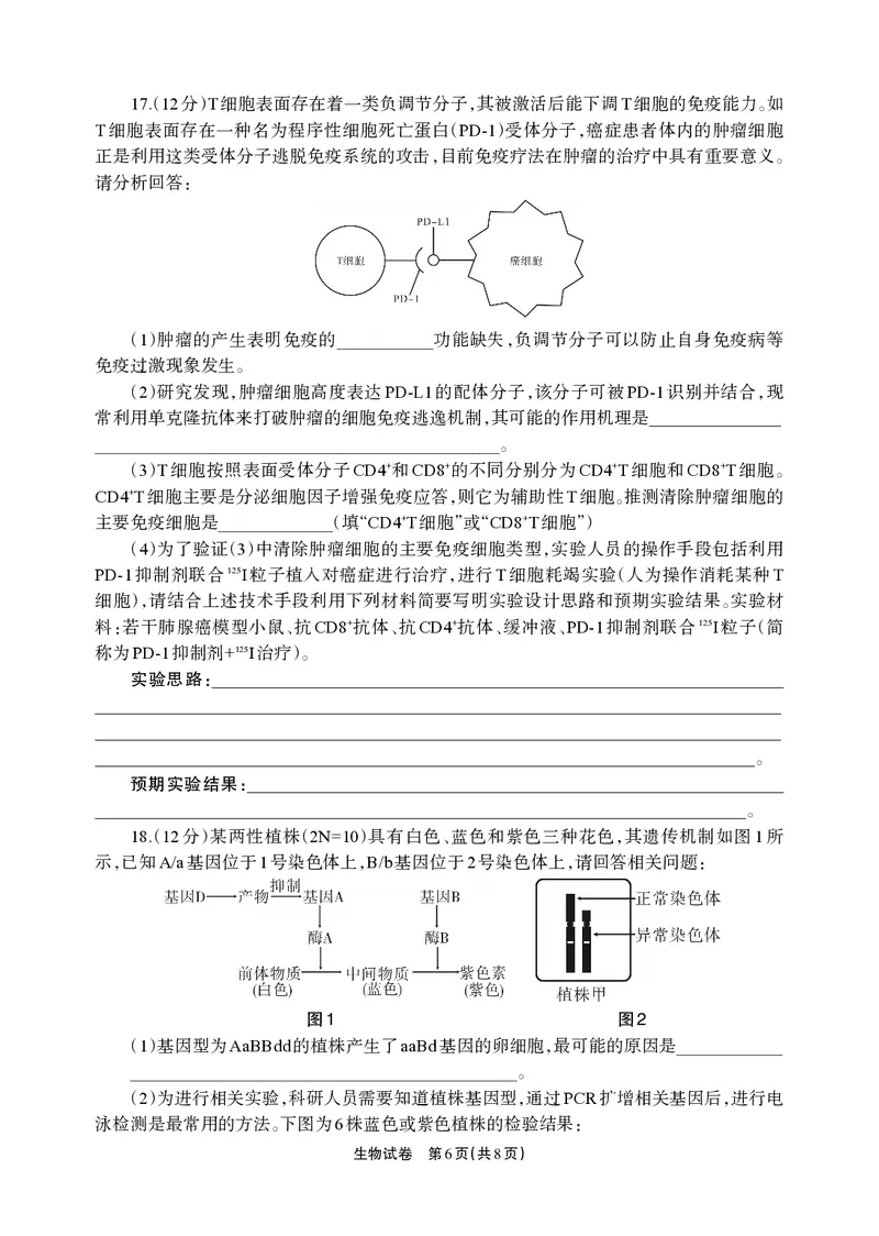 德阳市高中2022级质量监测考试（二）生物_2025年2月_250224四川省德阳市高中2022级质量监测考试（二）（全科）_德阳市高中2022级质量监测考试（二）生物