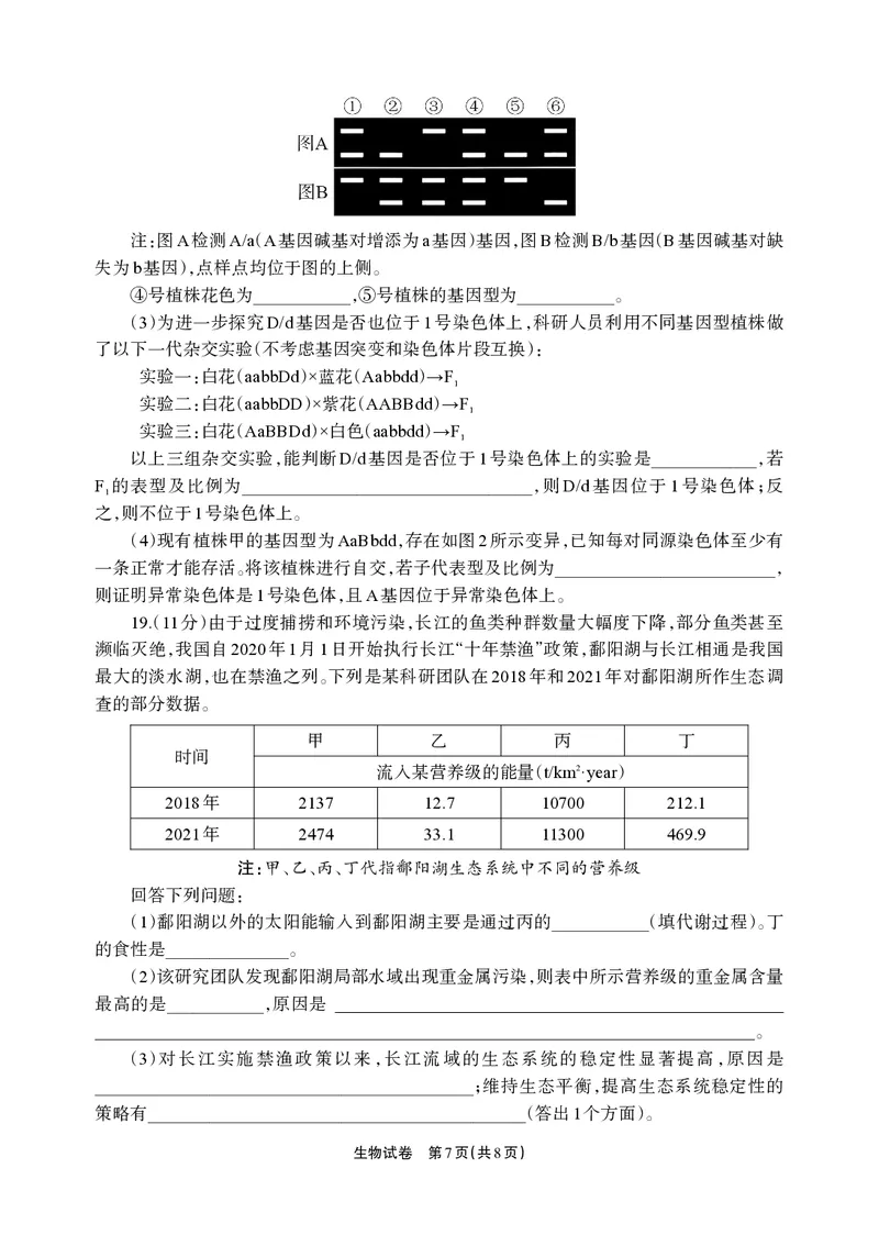 德阳市高中2022级质量监测考试（二）生物_2025年2月_250224四川省德阳市高中2022级质量监测考试（二）（全科）_德阳市高中2022级质量监测考试（二）生物