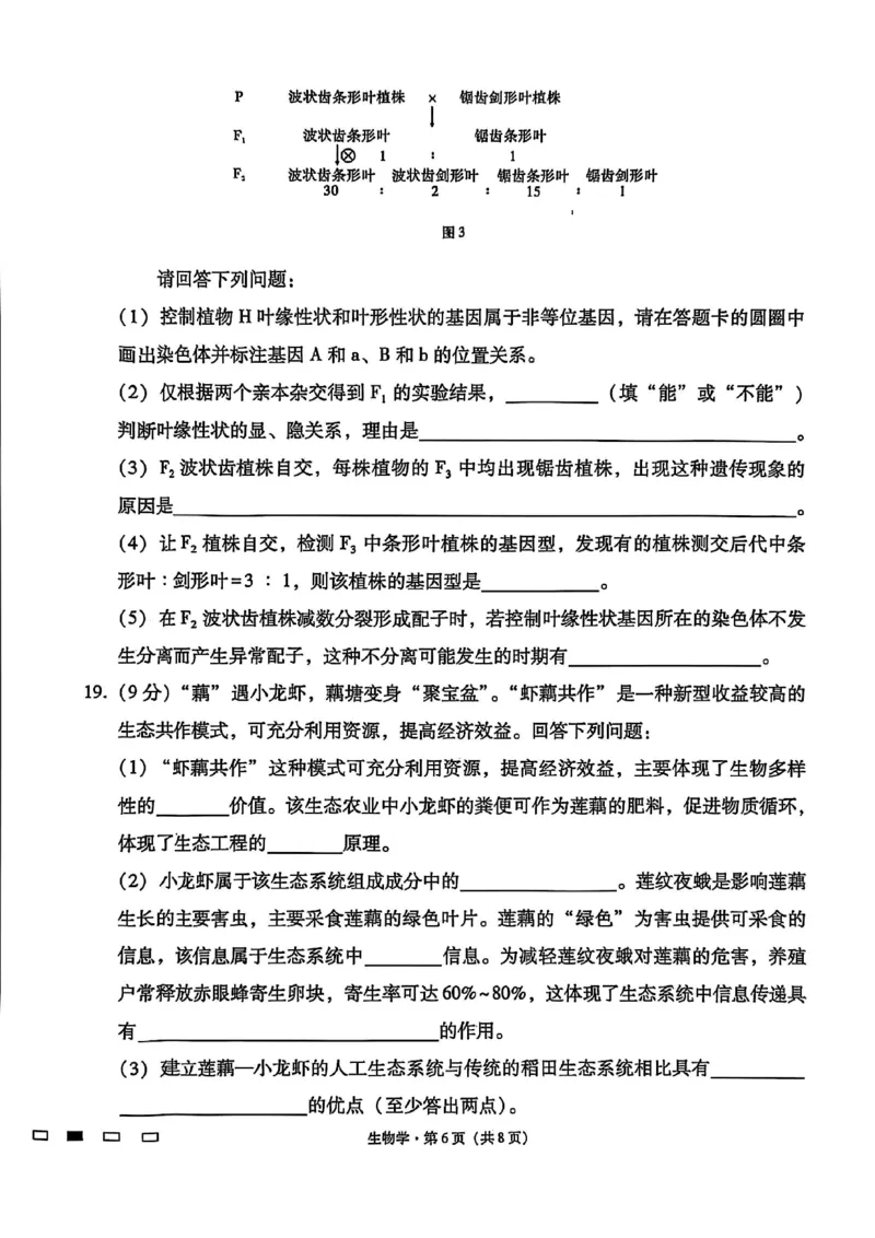 生物试卷-贵阳市第一中学2026届高考适应性月考卷（一）_2025年9月_250924贵州省贵阳市第一中学2026届高考适应性月考卷（一）（全科）