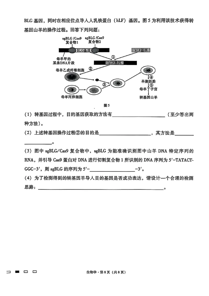 生物试卷-贵阳市第一中学2026届高考适应性月考卷（一）_2025年9月_250924贵州省贵阳市第一中学2026届高考适应性月考卷（一）（全科）
