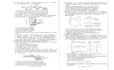 江西省南昌市高三2025届高三第二次模拟考试生物_2025年4月_250411江西省南昌市高三2025届高三第二次模拟考试（南昌二模）（全科）
