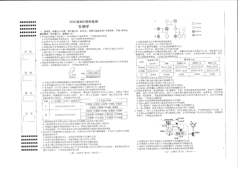 江西省南昌市高三2025届高三第二次模拟考试生物_2025年4月_250411江西省南昌市高三2025届高三第二次模拟考试（南昌二模）（全科）
