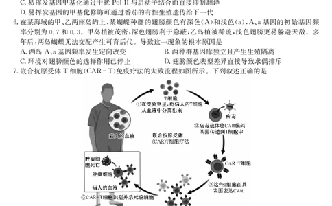 生物-4月质量检测（W）_2025年5月_250511湖北省九师联盟2025届高三4月质量检测（W）（全科）