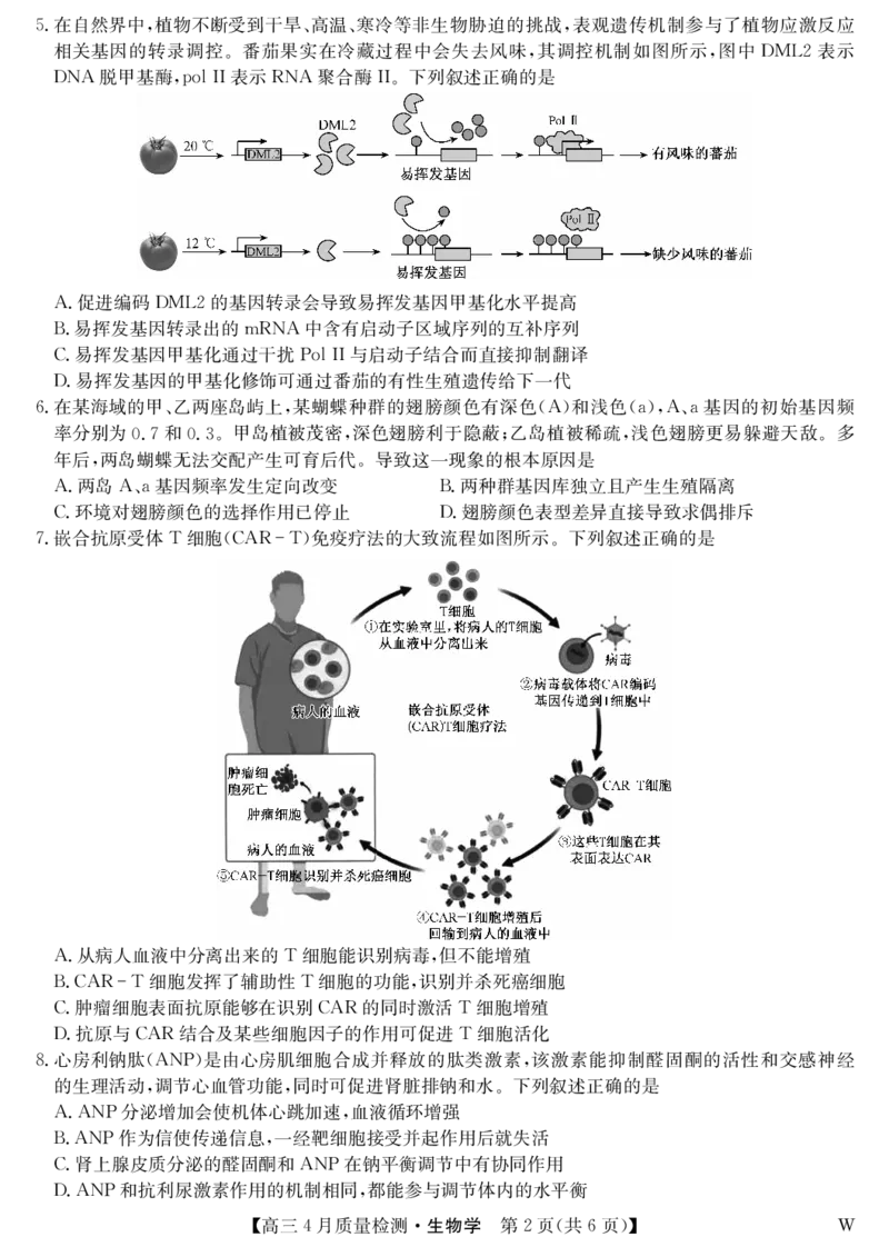 生物-4月质量检测（W）_2025年5月_250511湖北省九师联盟2025届高三4月质量检测（W）（全科）