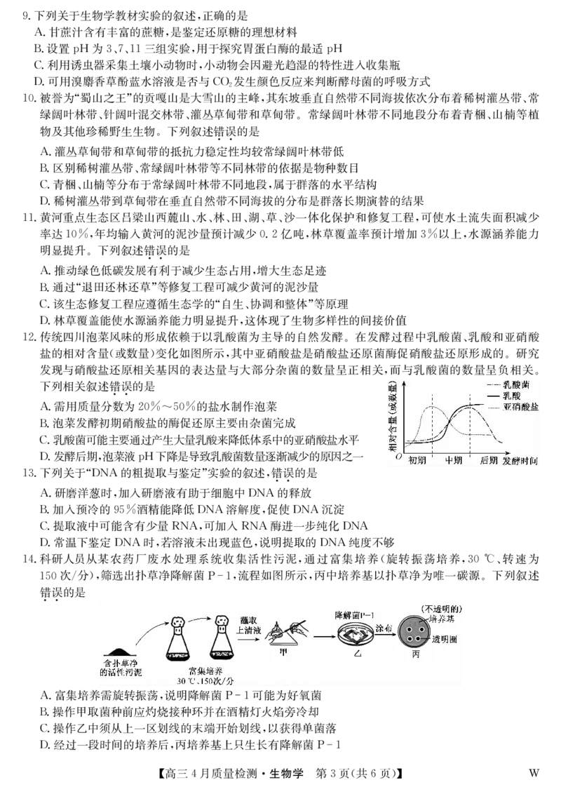 生物-4月质量检测（W）_2025年5月_250511湖北省九师联盟2025届高三4月质量检测（W）（全科）
