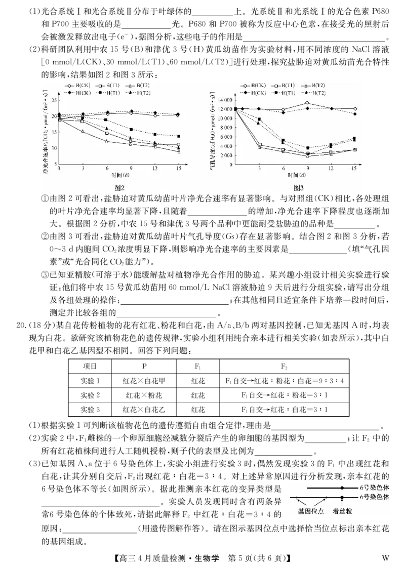 生物-4月质量检测（W）_2025年5月_250511湖北省九师联盟2025届高三4月质量检测（W）（全科）
