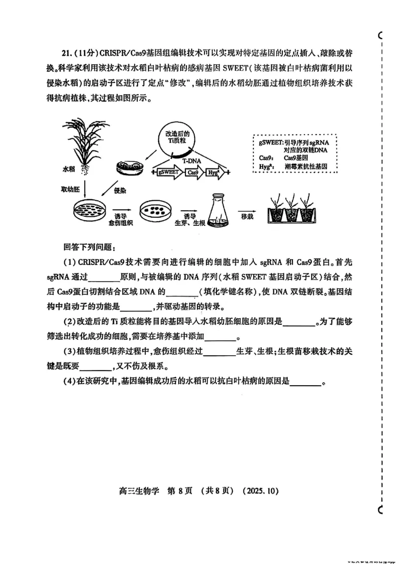 生物试卷-河南豫西北教研联盟225-2026学年高三第一次质量检测试题_2025年10月_12026年试卷教辅资源等多个文件_251027豫西北教研联盟2026届高三上学期第一次质检