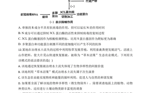 2023届新高考生物金榜猜题卷湖北专版_2023高考押题卷_正确教育金榜猜题卷_（新高考）正确教育丨金榜猜题卷_新高考生物
